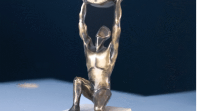 Hair Transplant Clinics