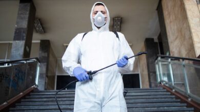 Why Hiring a Pest Control Specialist in Colchester Is Worth It