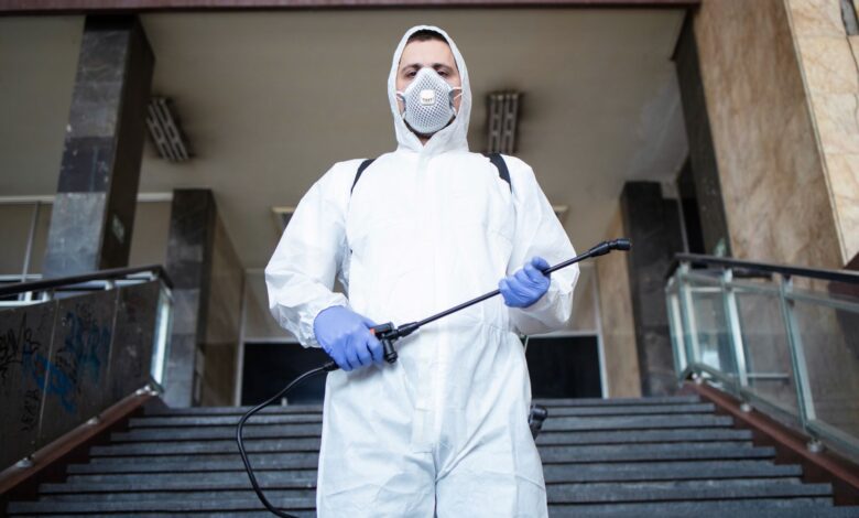 Why Hiring a Pest Control Specialist in Colchester Is Worth It