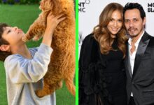 maximilian david muniz