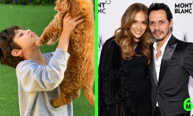 maximilian david muniz