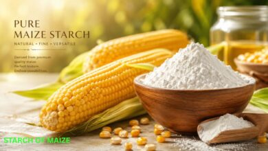 starch of maize