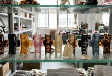 Hair Clips