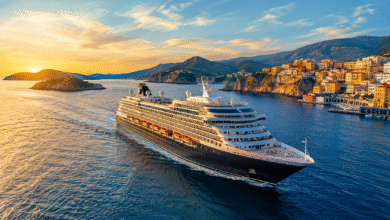 Cruises