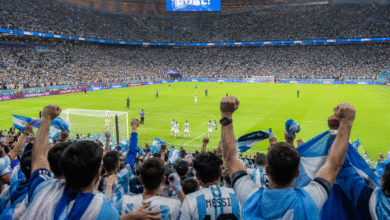 How World Cup Fans Can Use InsMelo to Create Their Own Cheering Songs