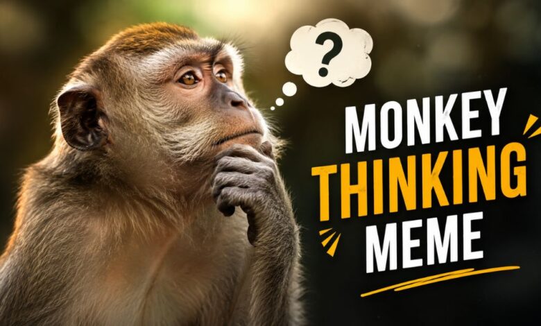 monkey thinking meme