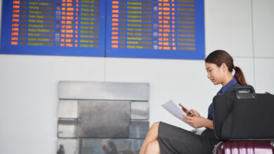 Japan Domestic Flights
