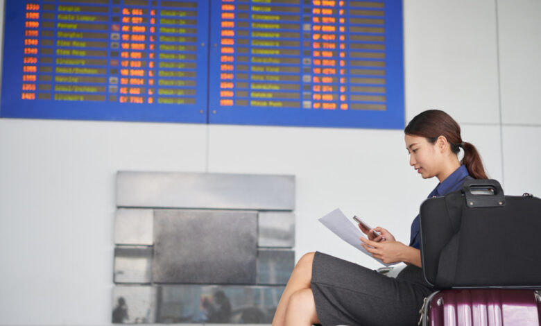 Japan Domestic Flights
