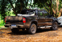 Favorite Truck