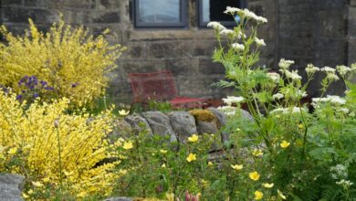 Garden Overgrowth