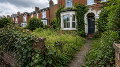 Garden Overgrowth